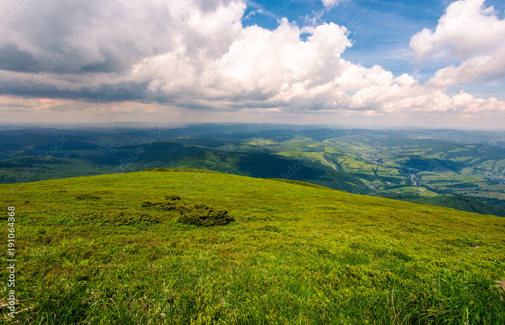 Fototapeta premium grassy carpet of the mountain meadow. beautiful summer landscape viewed from high altitude