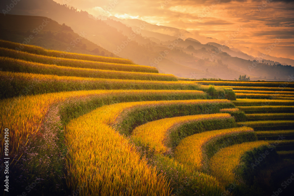 Rice fields on terraced with wooden pavilion at sunset in Mu Cang Chai, YenBai, Vietnam.