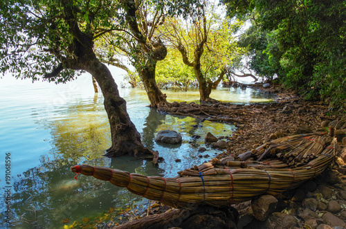 Fototapeta Naklejka Na Ścianę i Meble -  The traditional Ethiopian papyrus boat on the coast of the lake Tana, the largest lake in Ethiopia. Amhara Region, the north-western Ethiopian Highlands