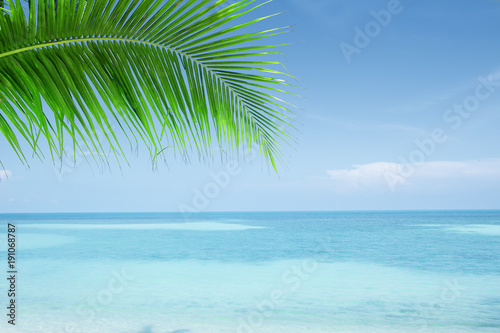 Fototapeta Naklejka Na Ścianę i Meble -  View of nice tropical beach with some palms
