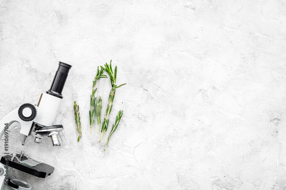 Analysing food concept. Healthy products. Herbs rosemary near microscope on grey background top view copy space - obrazy, fototapety, plakaty 