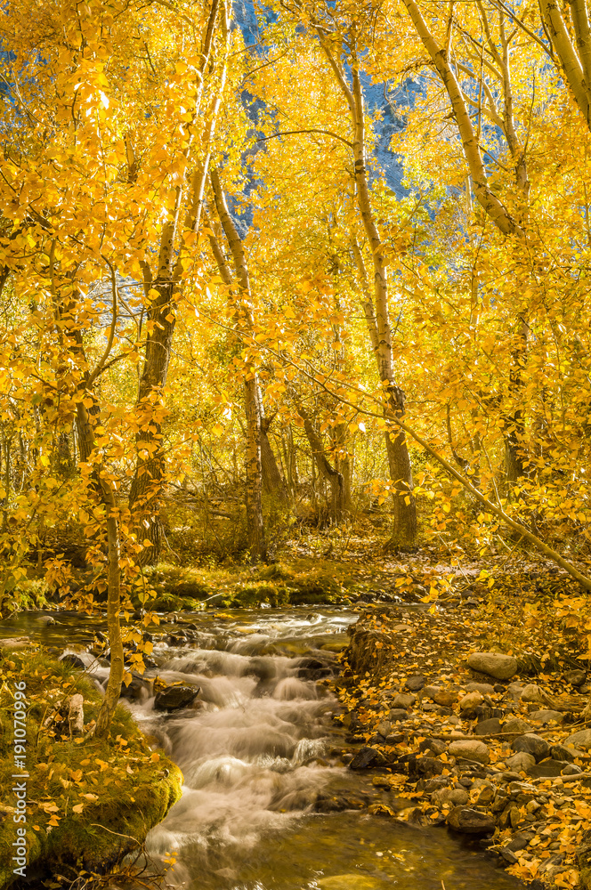 Aspens at McGee Creek Aspens at McGee Creek