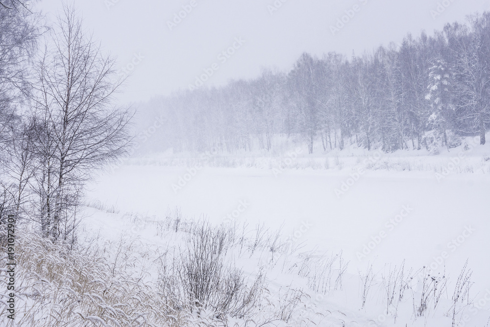 winter winter