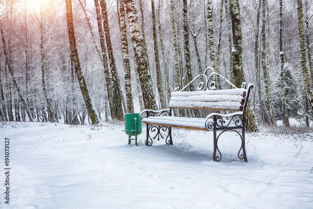 Park bench and trees covered by heavy snow