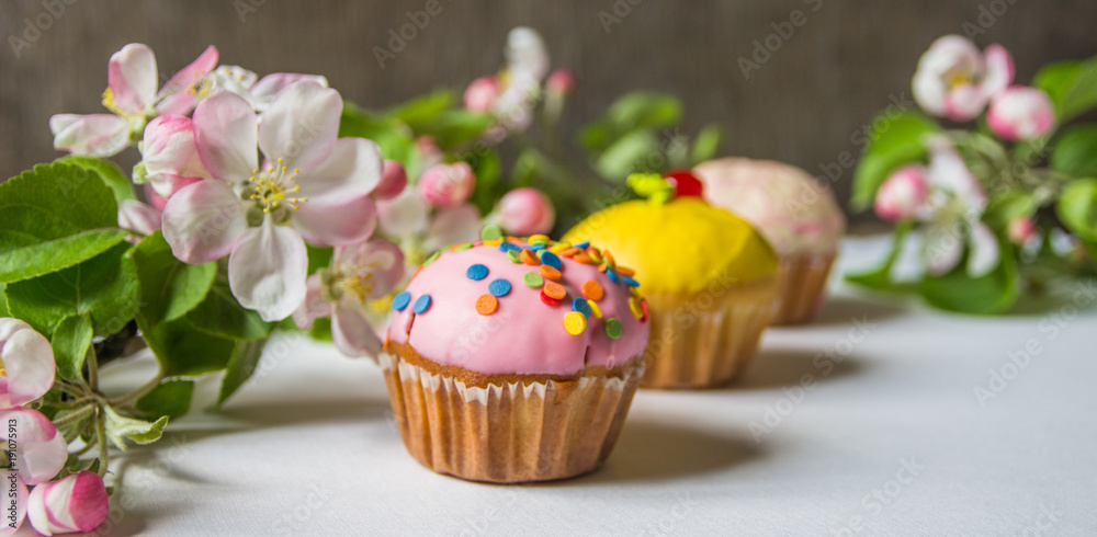 Cupcakes with blossoming apple branches, copy space Cupcakes with blossoming apple branches, copy space