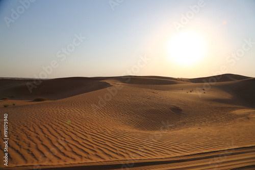 Desert dans une réserve naturelle Dubai
