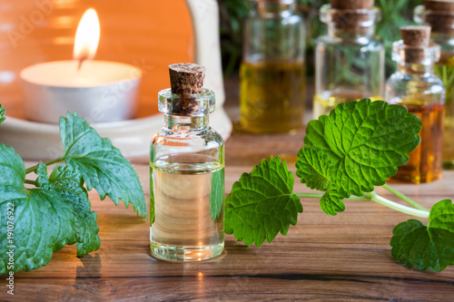 A bottle of melissa essential oil with fresh melissa leaves