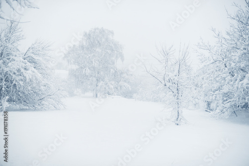 Winter snowfall in the village. Snowy collapse