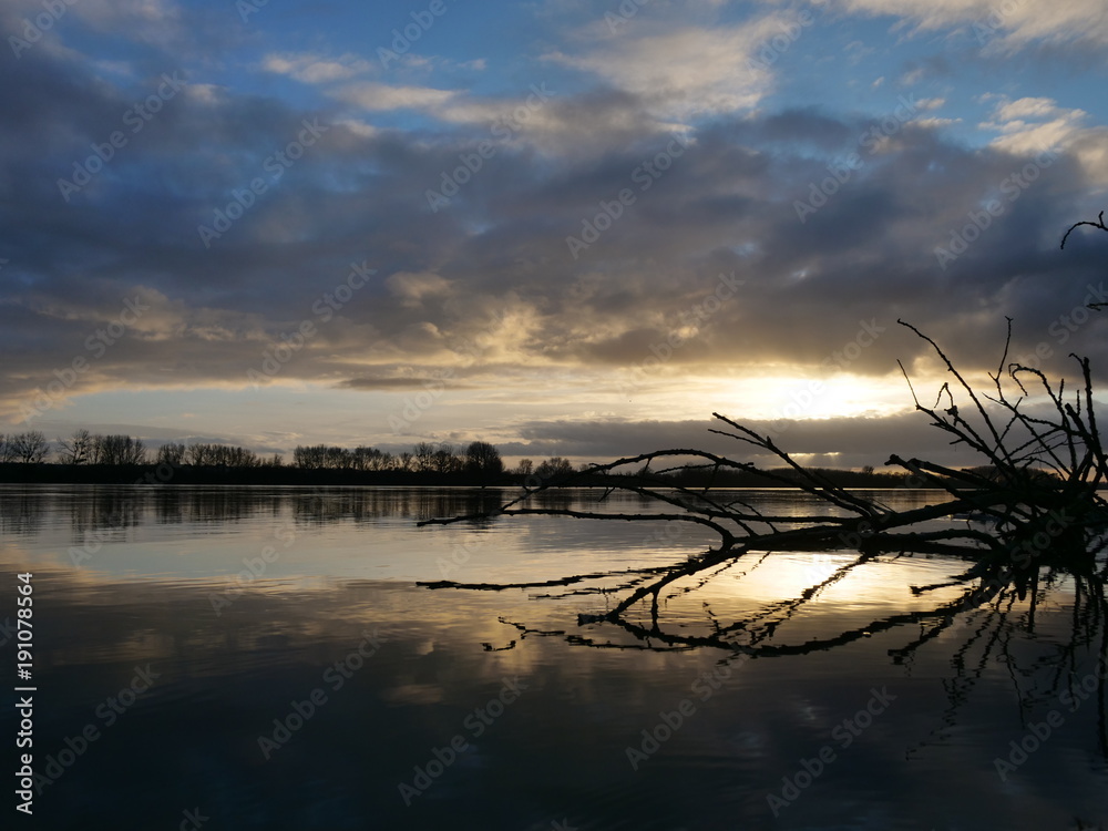 Arbre dans la Loire et ciel bleu Arbre dans la Loire et ciel bleu