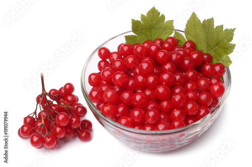 Red berries of viburnum in glass bowl