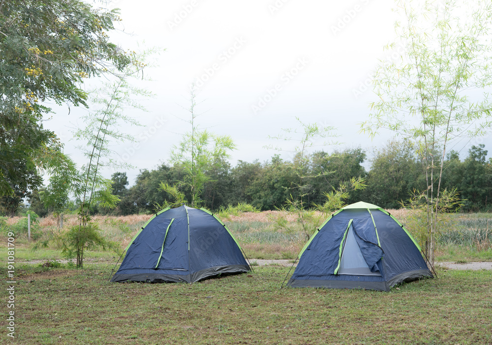 Camping tent on green grass