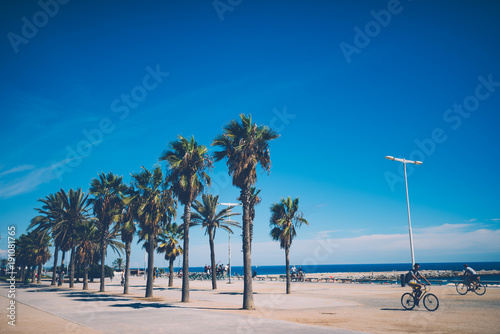 Fototapeta Naklejka Na Ścianę i Meble -  Palms and blue sky at Barcelona beach in Spain