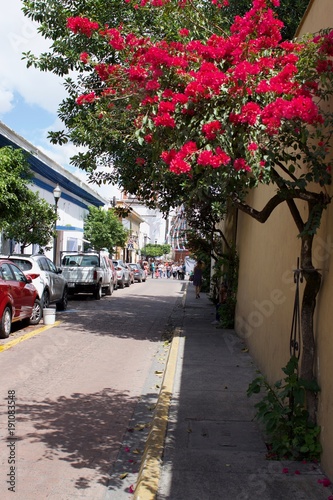 Bonita calle con flores en un pueblo mexicano en verano 