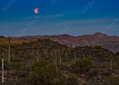 Saguaro Eclipsing Moon