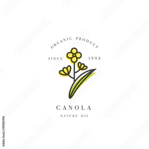 Vector design element and icon in linear style - rapeseed oil - healthy vegan food.