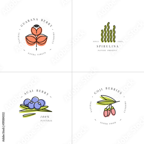 Vector set design templates and emblems - healthy eco food - camu camu, spirulina, goji berry and acai berry. Detox and weightloss supplements.