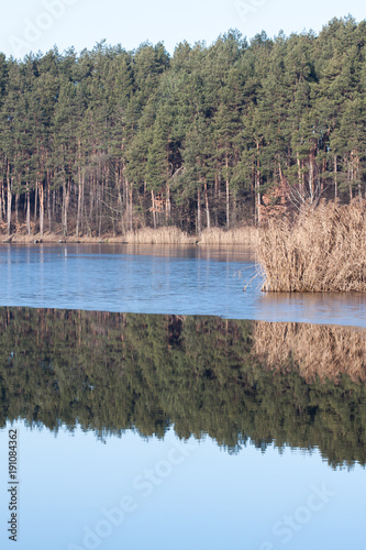 River landscape with reflections of trees in water