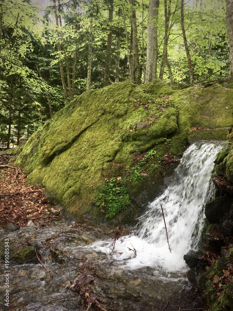 Obraz premium Montagne