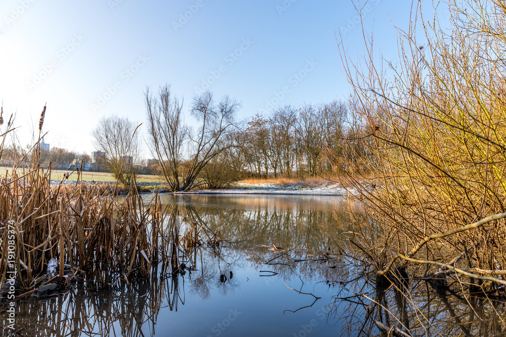 Obraz premium Gefrorener See in einer Winterlandschaft in Rheinhessen