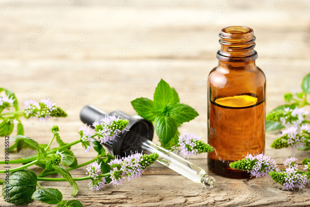 Peppermint essential oil and peppermint flowers on the wooden board Peppermint essential oil and peppermint flowers on the wooden board