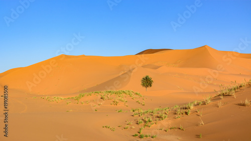 Wydmy Erg Chebbi, Sahara, Maroko
