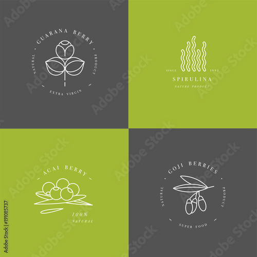 Vector set design templates and emblems - healthy eco food - camu camu, spirulina, goji berry and acai berry. Detox and weightloss supplements.