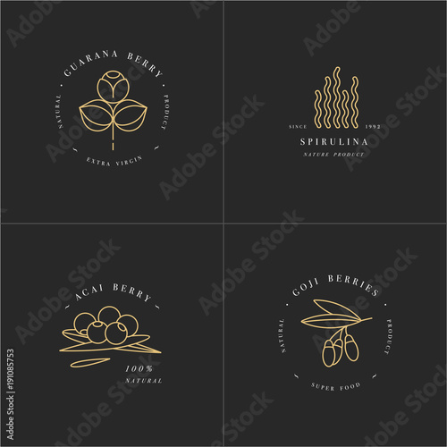 Vector set design templates and emblems - healthy eco food - camu camu, spirulina, goji berry and acai berry. Detox and weightloss supplements.