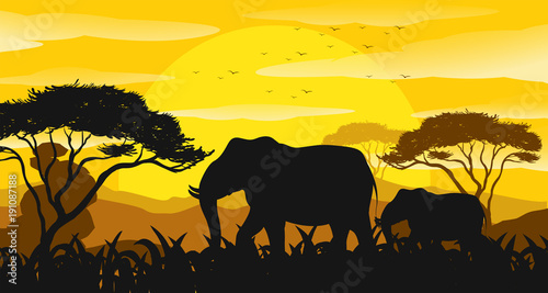 Background scene with silhouette elephants in the field