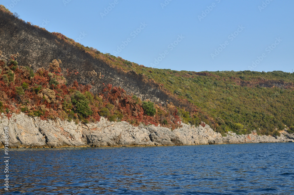 Forest on a hill, a part of it burnt in a fire and blue sea water