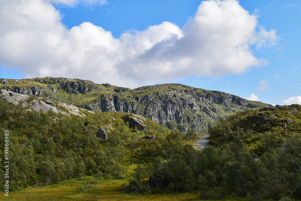 Fototapeta premium Waldstück