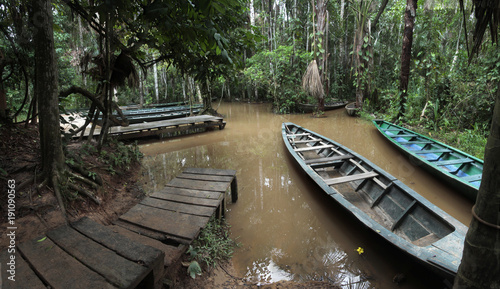 The rainforest wharf on Sandoval Lake near Puerto Maldonado and Madre de Dios River, Amazon Peru photo