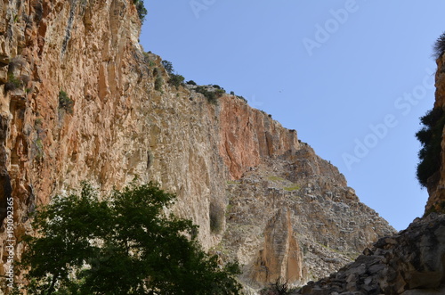 Fototapeta Naklejka Na Ścianę i Meble -  Fisheye view on Avakas Gorge with steep rocks and river on bottom. Akamas, Cyprus.