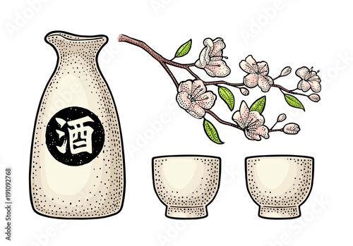Sakura blossom. Cherry branch with flowers and bud. Petals falling.