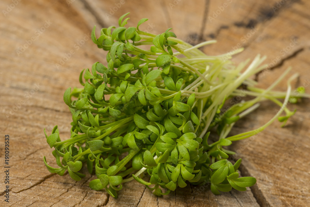 cress sprouts (Lepidium sativum) ion a wooden background cress sprouts (Lepidium sativum) ion a wooden background
