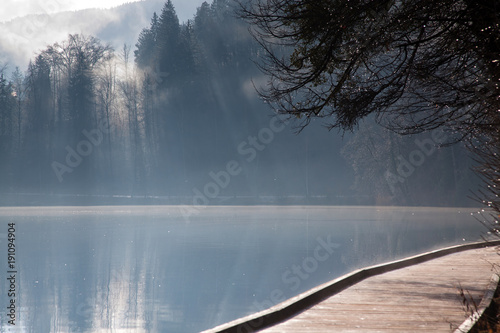 misty autumn morning on lake Bled, Slovenia photo