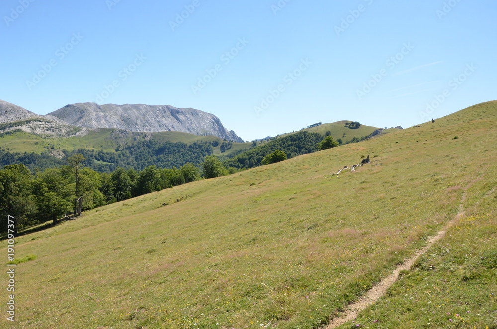 Hiking trail on a steep meadow and mountains in the background