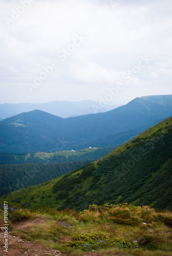 Landscape. Green Carpathian mountains on a cloudy July morning