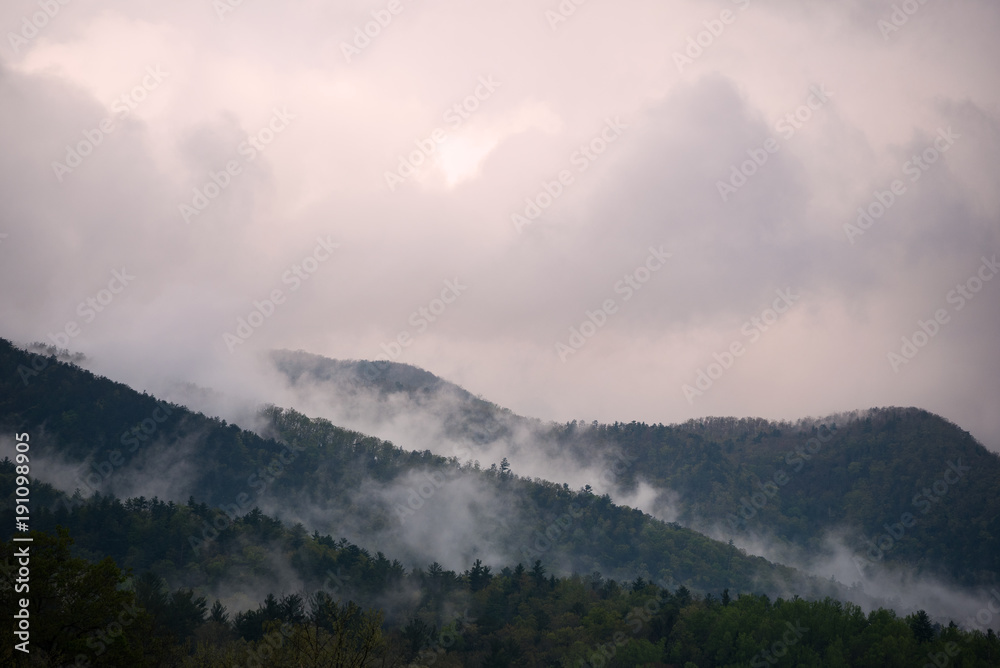 Smoky Mountain Ridges