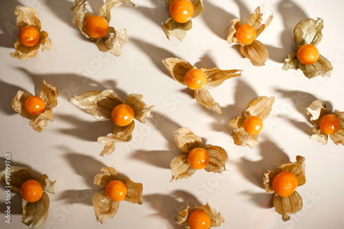 Ground cherry husk tomato chinese lantern on reflective white surface photo