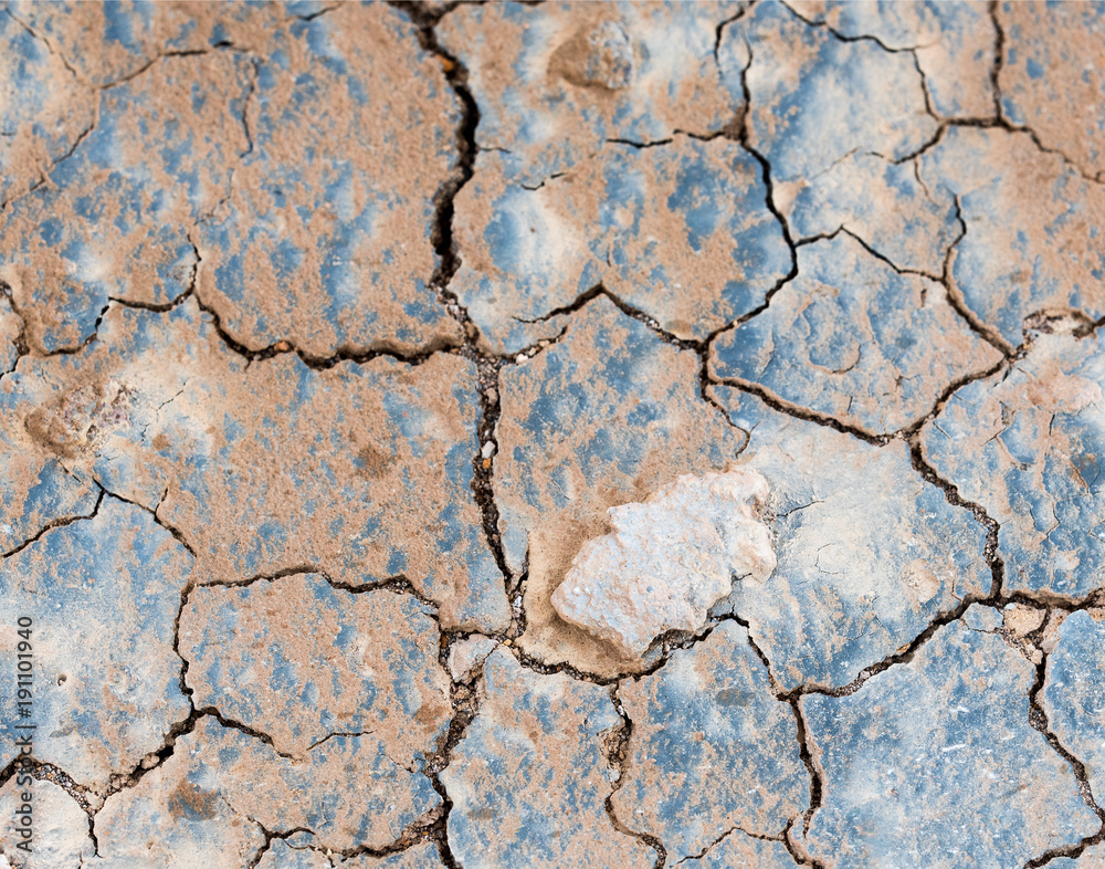 Fototapeta premium Cracked Earth