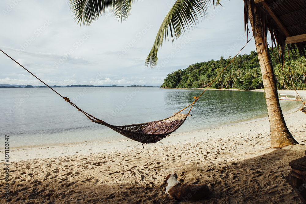 Scenic view of sea with dog resting by hammock at beach