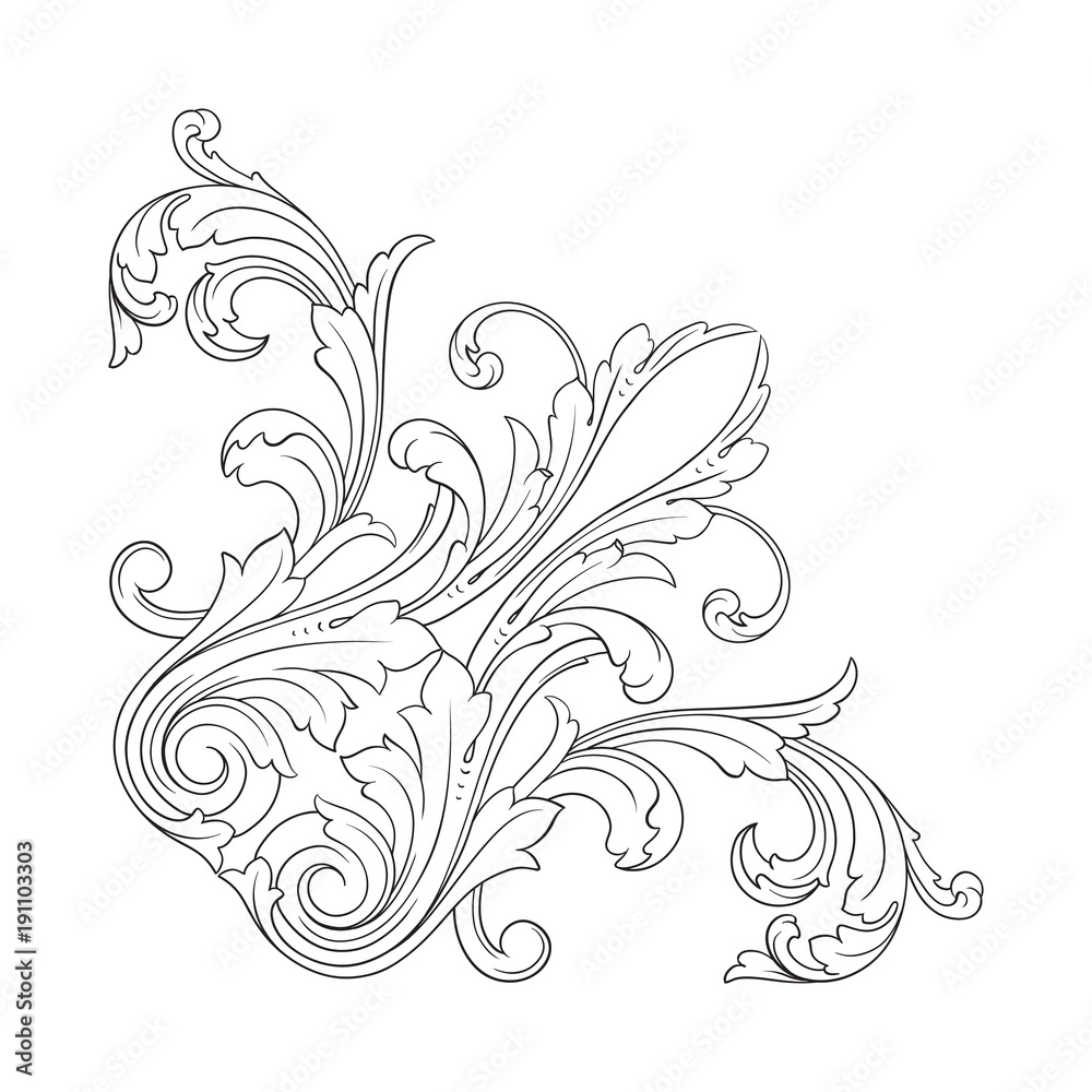 Fototapeta premium Baroque ornament decoration element.