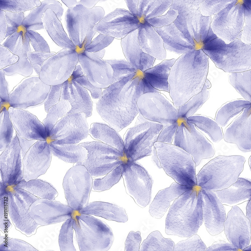 viola odorata flower seamless pattern, watercolor © Евгения Савченко