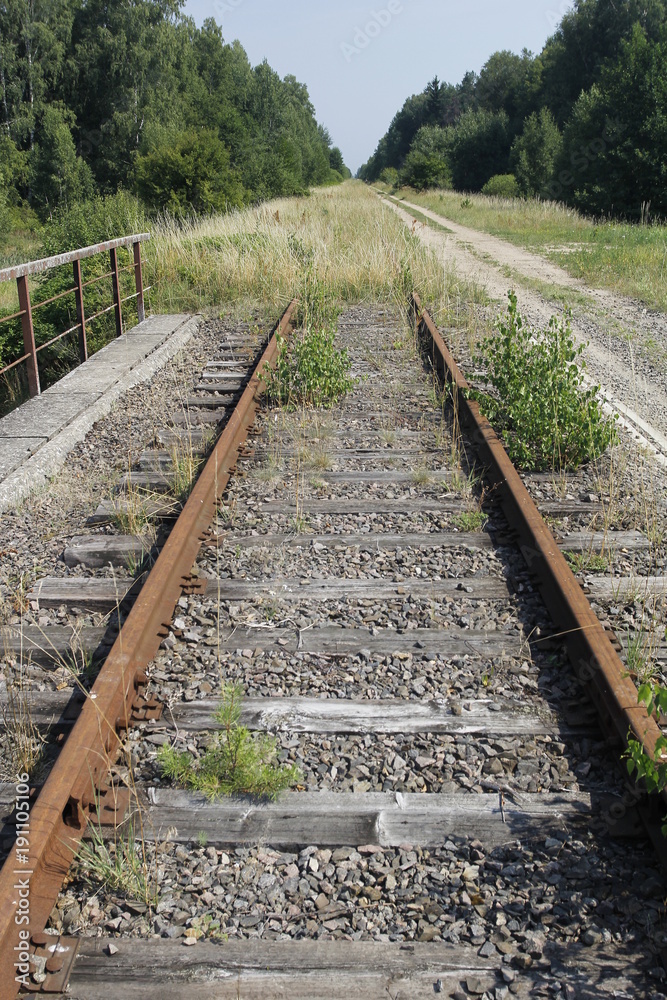 Obraz premium An old abandoned railway line with rusty tracks and sleepers overgrown with grass.