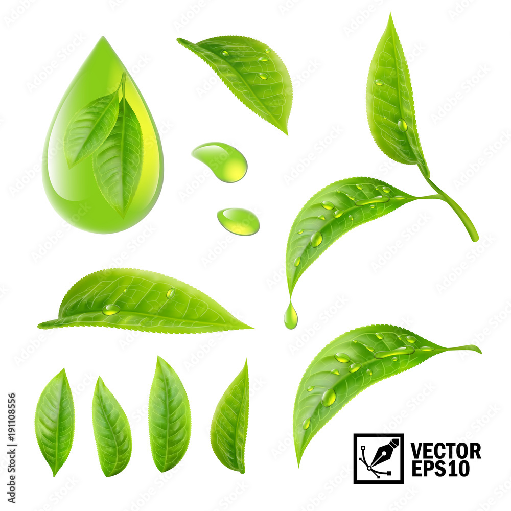 Realistic vector set of elements (tea leaves and dew drops or oil) - obrazy, fototapety, plakaty 