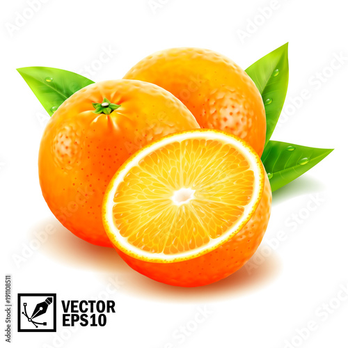 Realistic vector set fresh whole oranges and sliced orange with leaves and dew drops. Editable handmade mesh