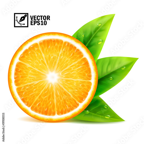 Realistic vector set of elements: slice of fresh orange with leaves and dew drops. Editable handmade mesh.