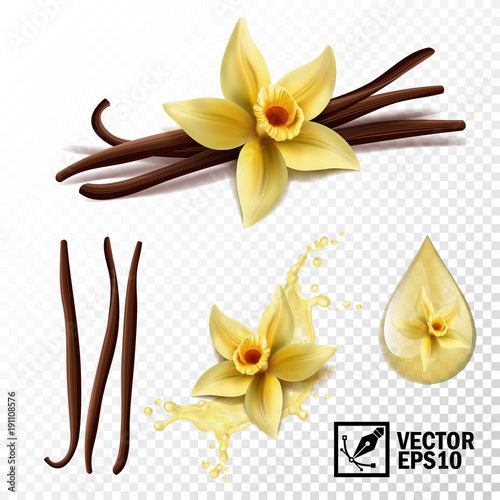 Realistic vector set of isolated elements (vanilla flower and pods or sticks, vanilla splash and drops)