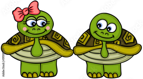Fototapeta Naklejka Na Ścianę i Meble -  Cute couple turtle