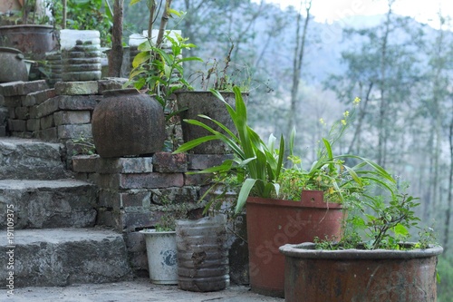 Plants in vases near the stairs (Yuanyang, Yunnan, China)